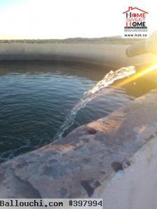 Terrain Agricole Essaei à Vendre à Gafsa