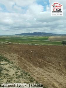 Terrain Agricole Orkun à Vendre à Kef