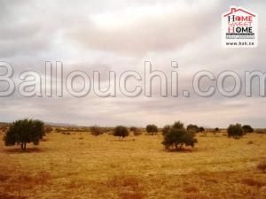 Terrain Agricole Népal à Vendre à Remada
