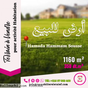 agence_letaief_immobilière