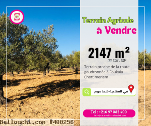 Une Bonne Offre à Foukaia Chott Meriem,