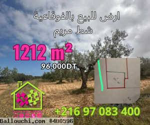 Une Bonne Offre à Foukaia Chott Meriem,