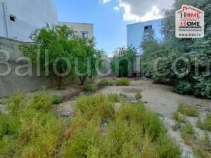 Terrain INVEST Calisto à Vendre à Boumhal EL Bassetine