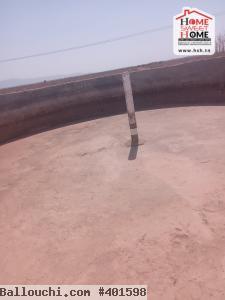Terrain Agricole Pinova à Vendre à Gafsa