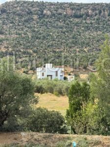 À vendre très belle maison de compagne 6000m2
