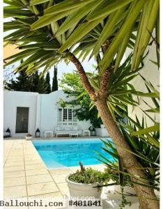 VILLA CYPRES I Hammamet Zone La Corniche AL785