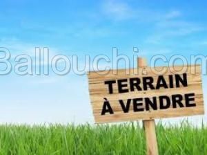 Terrain MINA (Réf: T1886)