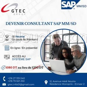 Devenir consultant en SAP