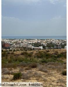 TERRAIN DANIA Hammamet Nord Mrezka T1158