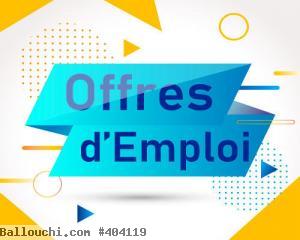 Des téléopérateurs