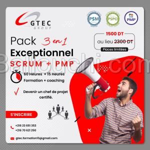 Pack de formation 3en1: PMS1, PSPO1 et PMP