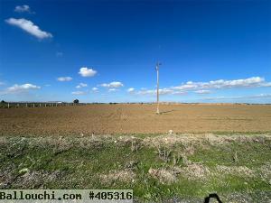 Terrain Agricole à vendre à Chorfech, Sidi Thabet
