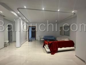 Appartement les oiseaux(réf: l3100)