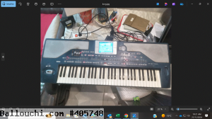 korg Pa 800