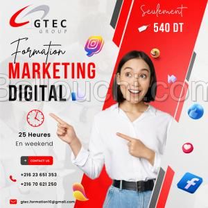 Réduction fin d'année : Marketing Digital