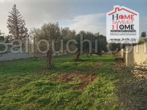 Terrain Azrur À Vendre À Bhar Lazreg