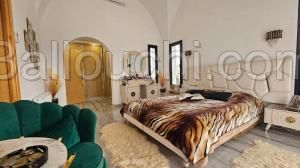 Villa alexandrite (réf: l2971)