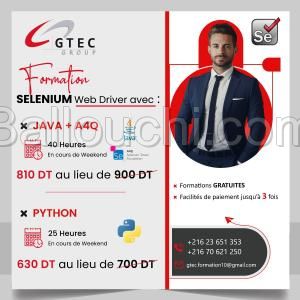 Réduction fin d'année : Formation Selenium Webdriver avec Java / Python
