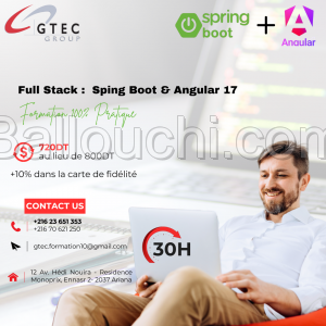 Réduction fin d'année : Formation FullStack : Spring_Boot & Angular 17