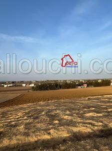 terrain FAYZA VTN084
