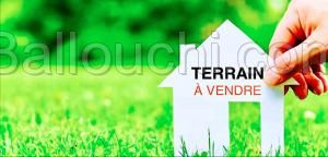 Terrain VERTEX (Réf: T1939)