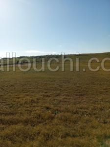 AV 6 hectares avec sondage sur la route à zaghouan