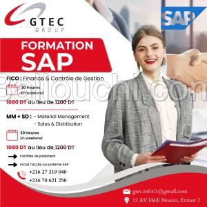 Formation en SAP MM / SD ou SAP FICO