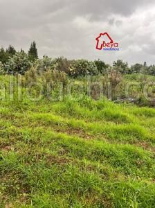 terrain JAMILA VTM006