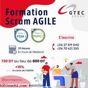 Formation Combinée : Agile Scrum Master, Product Owner (PSM 1) et (PSPO 1)