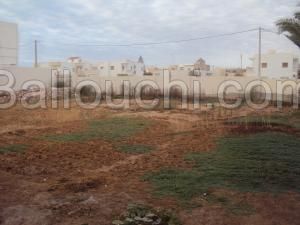 TERRAIN DE 1737 M² ROUTE EL AIN KM 2