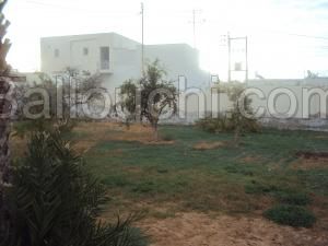 Terrain de 747m² avec maison Route EL AIN km 2