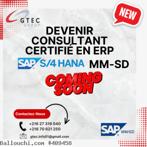 Formation en SAP MM / SD sur S/4 HANA