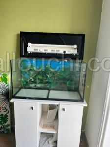 Aquarium Ferplast Comme Neuf + Meuble MDF + Accessoires - Dimensions Précises