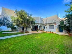L519 Villa GREEN