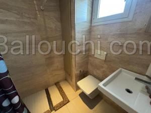 Appartement la belle rose (réf: v2881)