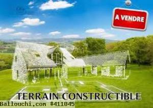 Terrain 