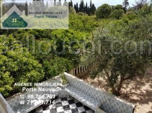 Maison de campagne 5000 m² Ras jebel