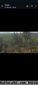 5 hectares excellent terrain agricole